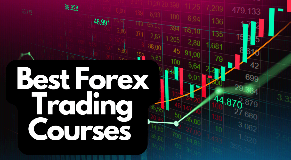 Forex Course Image